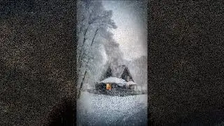 Здесь лапы у елей дрожат на весу... В.Высоцкий.