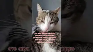11 октября 2024 г.