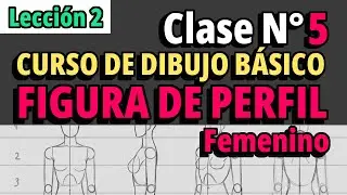 Curso de dibujo básico/ L2 - Clase 5 - Estructura de Perfil Femenino - Paso a paso