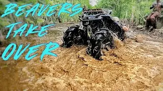 Sketchy Flooded Trail! Awesome Deep Water ATV Tour on Honda and Yamaha
