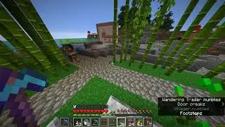 Minecraft - Wandering Trader as the Flash