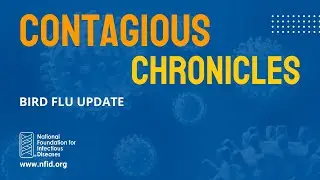 Contagious Chronicles: Bird Flu Update (May 2024)