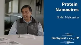 Protein Nanowires | Nikhil Malvankar