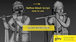Quad Remesher