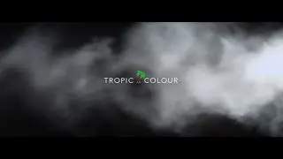 Tropic Colour - Film Assets & Effects