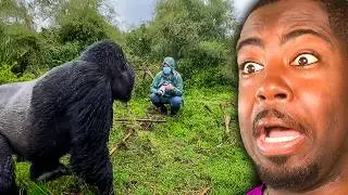 Hilariously SCARY Animal encounters