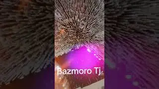 Shabnami Surayo Tuyona Nav 2023 
