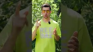 ПОСАДКА ДОМА НА УЧАСТКЕ #загородка #reebaz #рибаз
