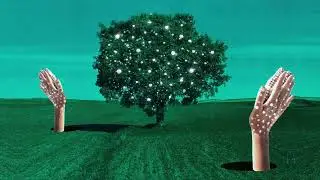 Clean Bandit - Everything But You (feat. A7S) (Official Visualizer)