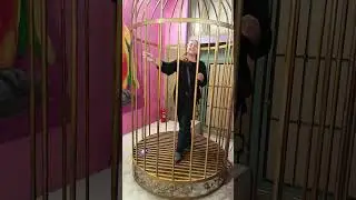 Свободу попугаям 🦜 🤣#music #рекомендации #live #прикол