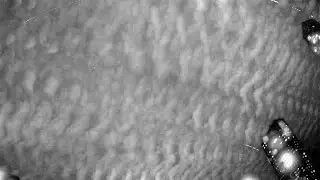 RMS BR0012 20240126 210643 335680 timelapse