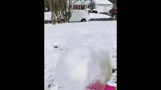 Кабы не было зимы