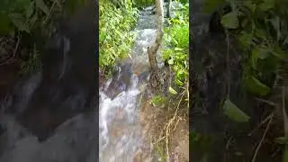 Шум реки у пещеры Салавата Юлаева в Башкирии.🌿💧