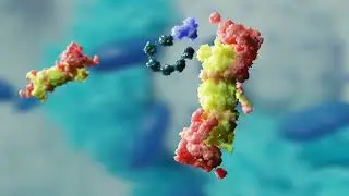 The Molecular Mechanism of Action of Deubiquitinating Enzymes | Biopharma Animation