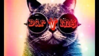 Розыгрыш в группе ВКонтакте https://vk.com/darvins_youtube