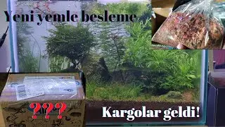 Bitkili Akvaryum Kargo Açılımı | Balık İçin Hazırlıklar | Co2 siz Bitkili Akvaryum