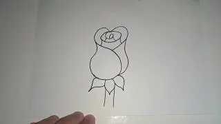 Cómo Dibujar una Rosa con una S