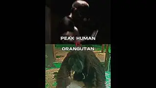 Peak human vs Orangutan | Battle #battle #shorts #fyp #tiktok #anime #muscular #humanity