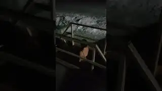 Крещение