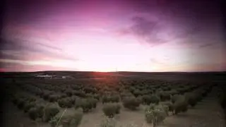 Arahalinformacion.com - Llegamos a Arahal
