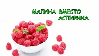 Поговорим о машине//польза и вред