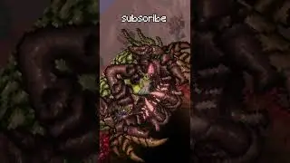 Terraria's forgotten soul...