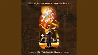 The Night They Drove Old Dixie Down (Live)