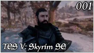 The Elder Scrolls V:Skyrim SE #001 (История Дарика в Скайриме) Зал Дозора и Данстар