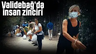Validebağ Korusu'nda vatandaşlar insan zinciri oluşturup, poşetle kum taşıdı
