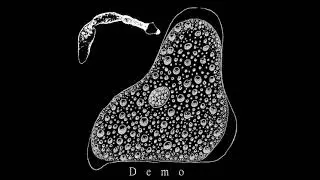 Echinostoma - Demo