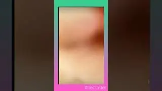 🥰😽мила ❤️ катёнок