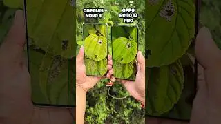Oppo Reno 12 Pro vs Oneplus Nord 4 Camera Test 