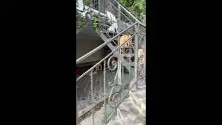 Трусишки 🤭