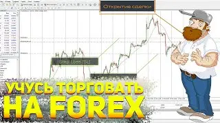 ✅Учусь торговать на форекс с нуля  / Торговля на Forex от трейдера бинарных опционов