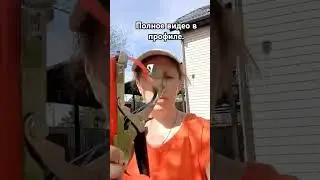 друзья, полное видео в профиле, в рамки short оно не влезло #дача #малина