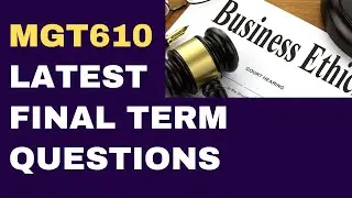 MGT610 Final Term Latest Past Paper Questions