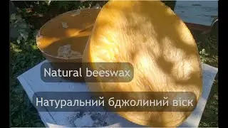 Факти про бджолиний віск,або де береться фальсифікат