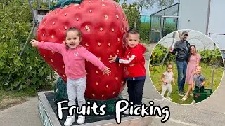 Fruits Picking (Strawberries & Cherries) #fruitspicking #thefildutchtwins
