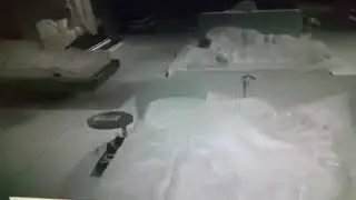 גניחות וסקס בהאח הגדול