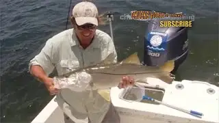 World Famous Snook Spot