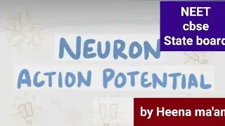 Action potential