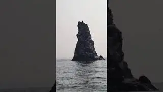 Владивосток сегодня.Незабываемая поездка на остров Аскольд,лежбища Сивучей.#владивосток #тихийокеан