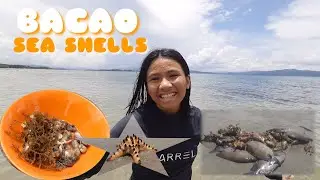 BACAO BEACH  |