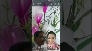 ja.ics0077@gmail.com