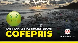 Las playas más sucias según COFEPRIS