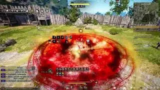 BDO Warrior Awakening PvE COMBO