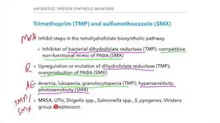 Fluoroquinolones and TMP SMX - USMLE and COMLEX review