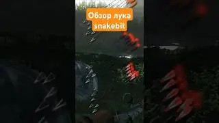 Самый Дешевый но Самый Мощный лук The Hunter Classic