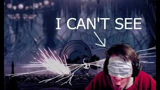 Beating Hollow Knight Blindfolded (FULL RUN)