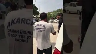 Davul zurna-Berivanım